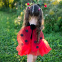 Great Pretenders Набор Glitter Ladybug - юбка, крылышки, обруч для головы, р. 4-7